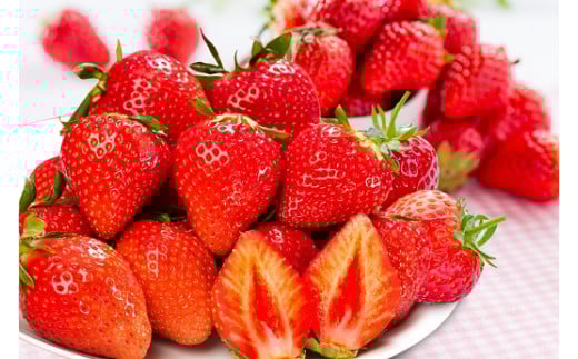 伊万里のいちご「いちごさん」化粧箱 003-B955