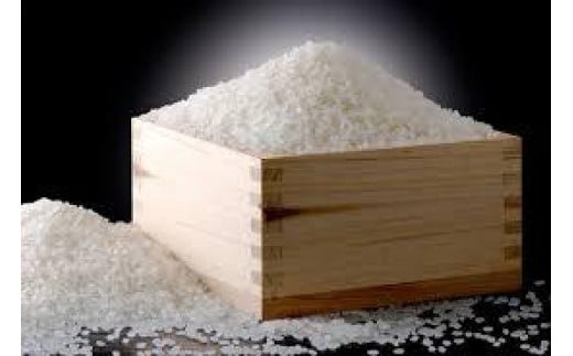 伊万里深山(みやま)米 夢しずく 5kg 003-B983