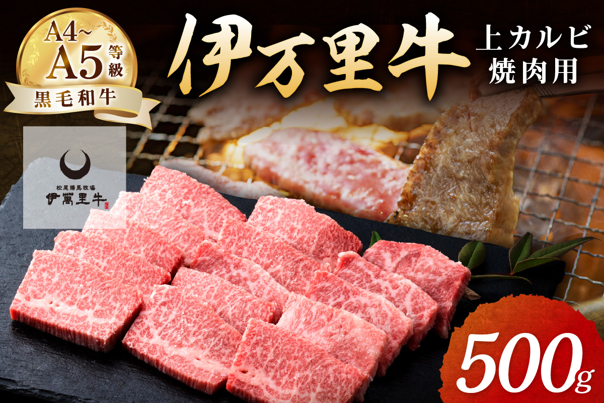 A5 A4 伊萬里牛 (伊万里牛) 上カルビ 焼肉 500g 007-J1782