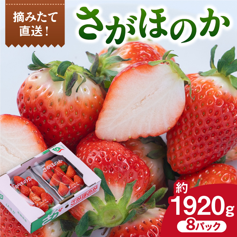 佐賀産 さがほのか 8パック 147-B809