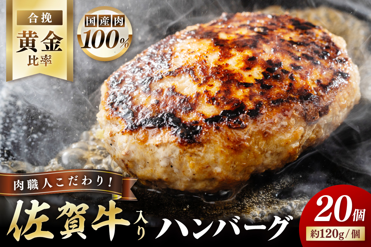 佐賀牛入り 特製 ハンバーグ 約120g×12個 180-J1931