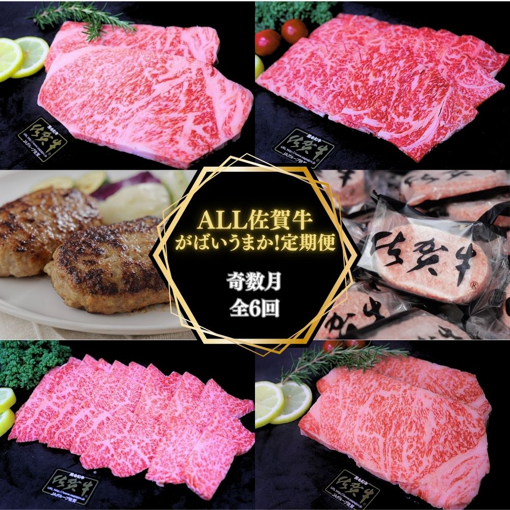 【奇数月に計６回】ALL 佐賀牛 がばいうまか 定期便 999-J1388