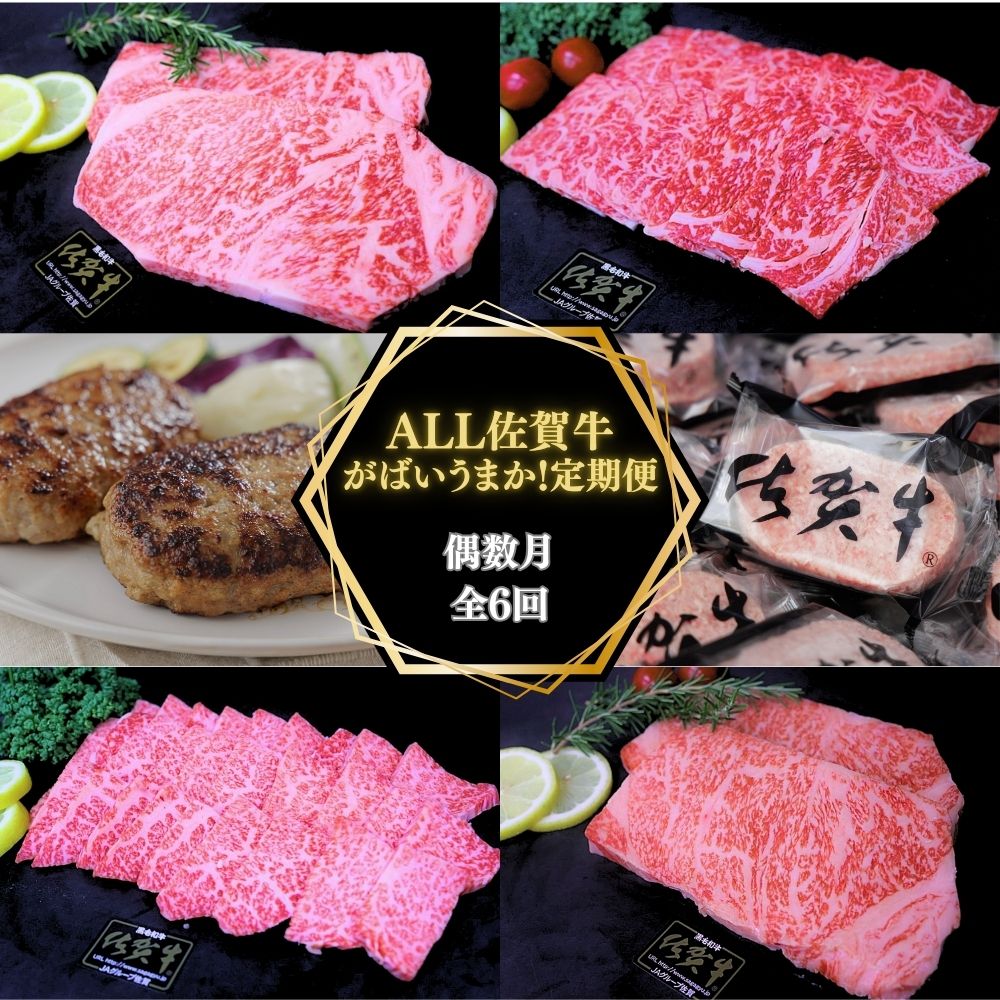 【偶数月に計６回】ALL 佐賀牛 がばいうまか 定期便 191-J1389