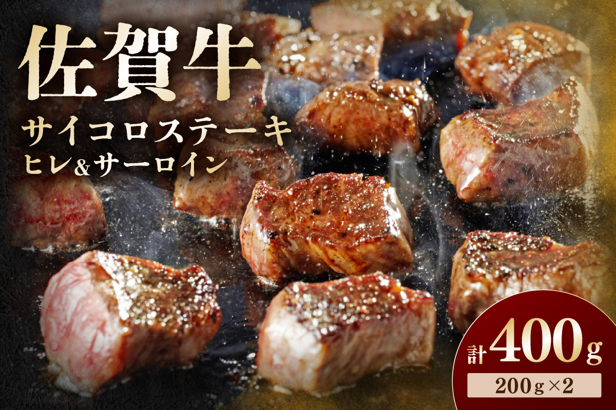 佐賀牛 高級部位ヒレとサーロインの食べ比べセット 194-J1899