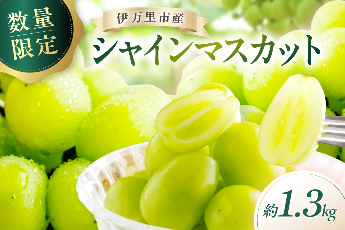 【 数量限定 】 令和8年産 伊万里産 シャインマスカット 約1.3kg 197-B887