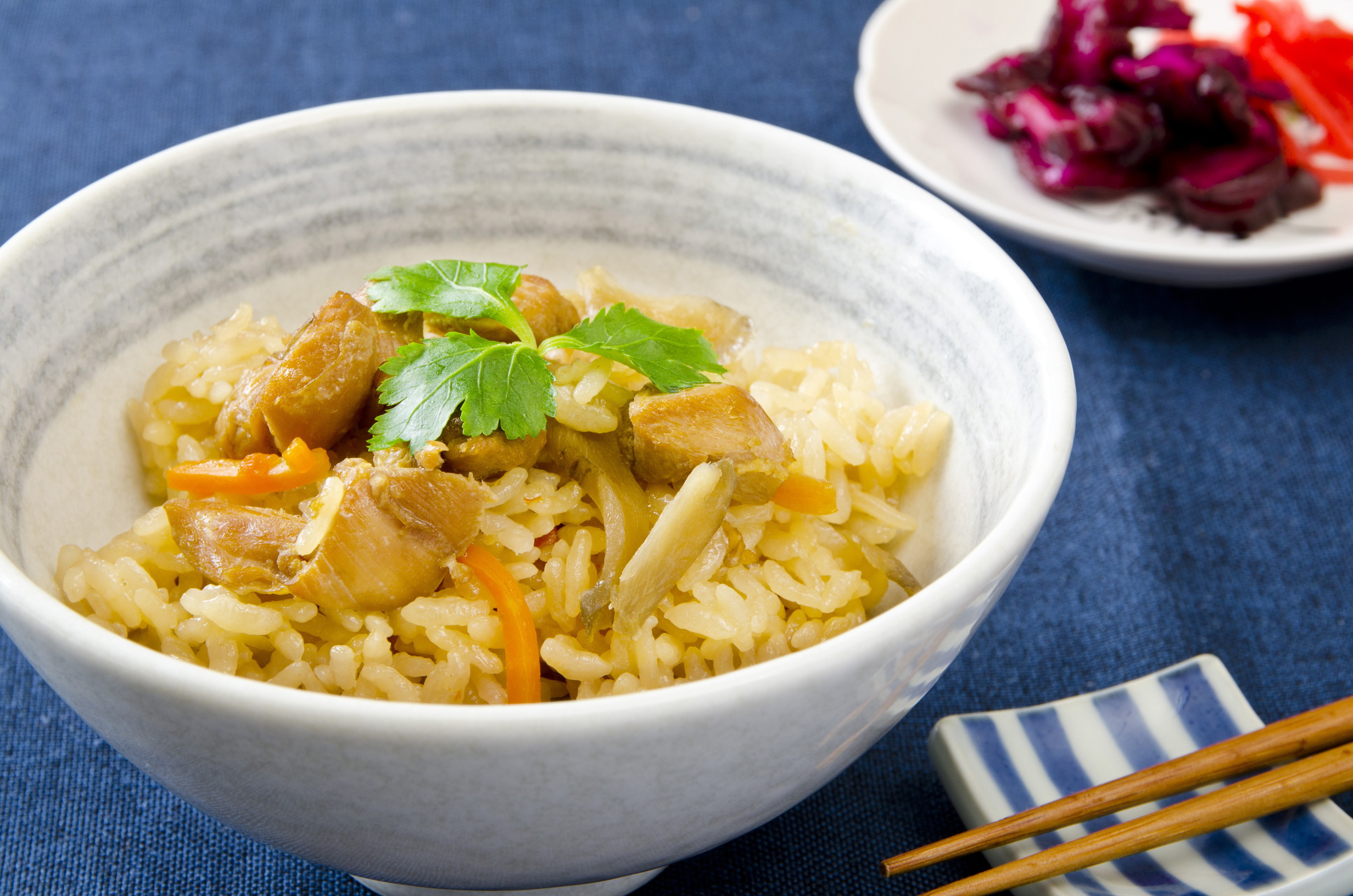 ありたどり　鶏めしのもと　202-C222