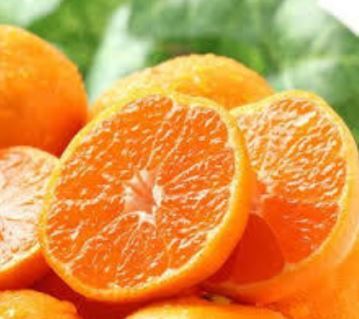 ハウスみかん1kg化粧箱入り 214-B918