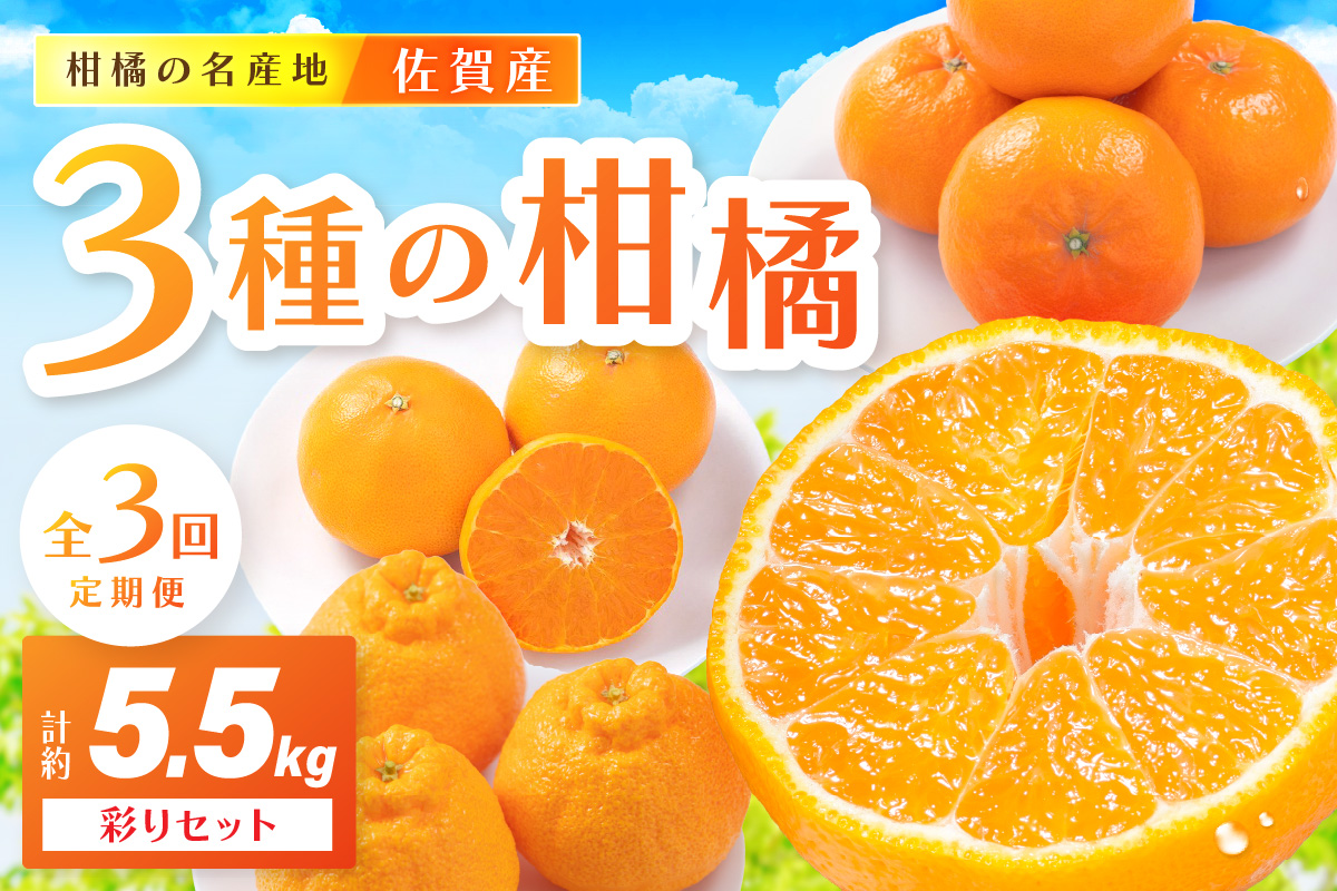 佐賀産 柑橘定期便 彩りセット【全3回】 せとか はまさき デコポン 999-B859