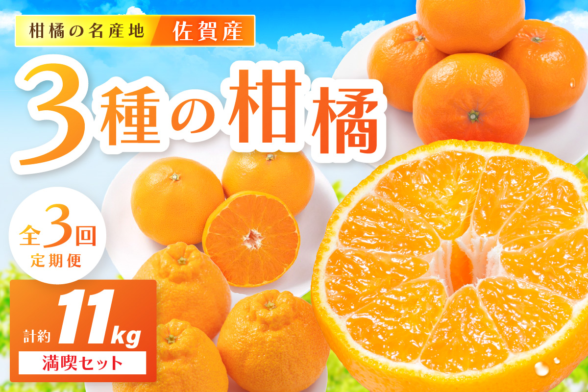 佐賀産 柑橘定期便 満喫セット【全3回】 せとか はまさき デコポン 999-B860