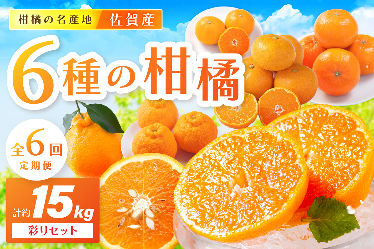 佐賀産 柑橘6種定期便 彩りセット【全6回】999-B861