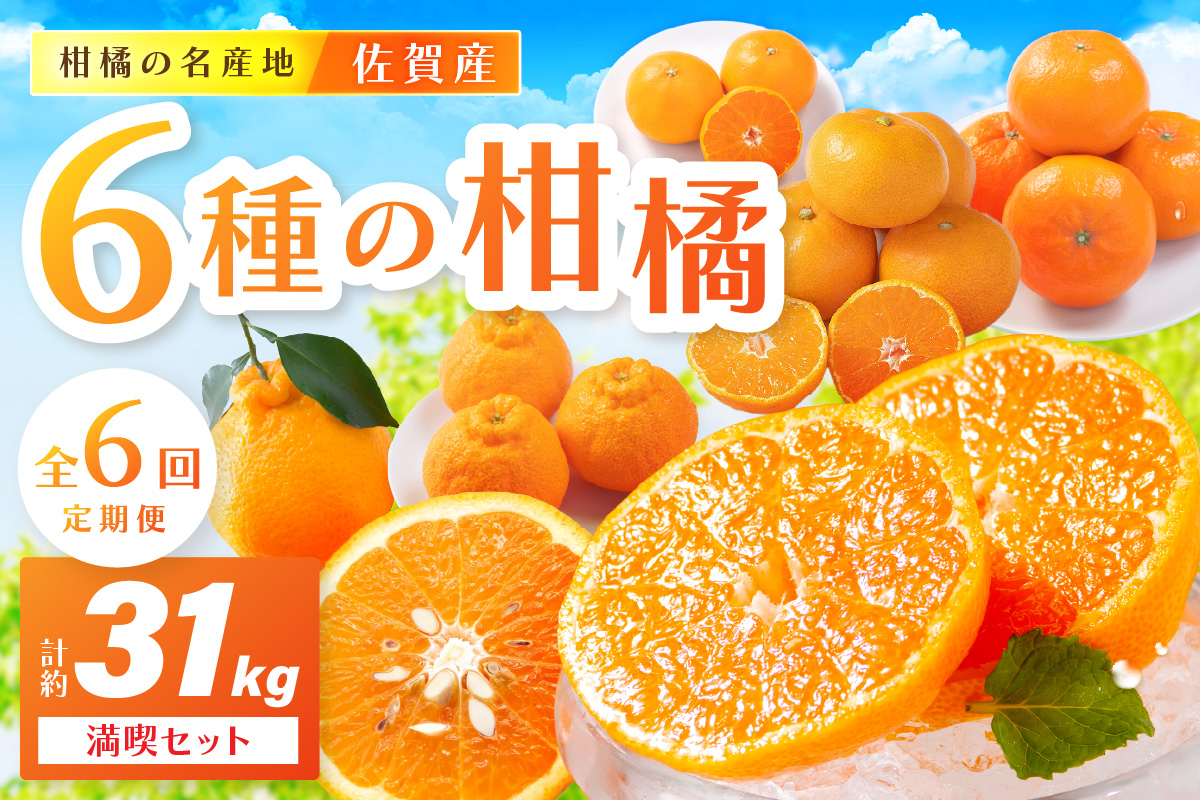 佐賀産 柑橘6種定期便 満喫セット【全6回】999-B862
