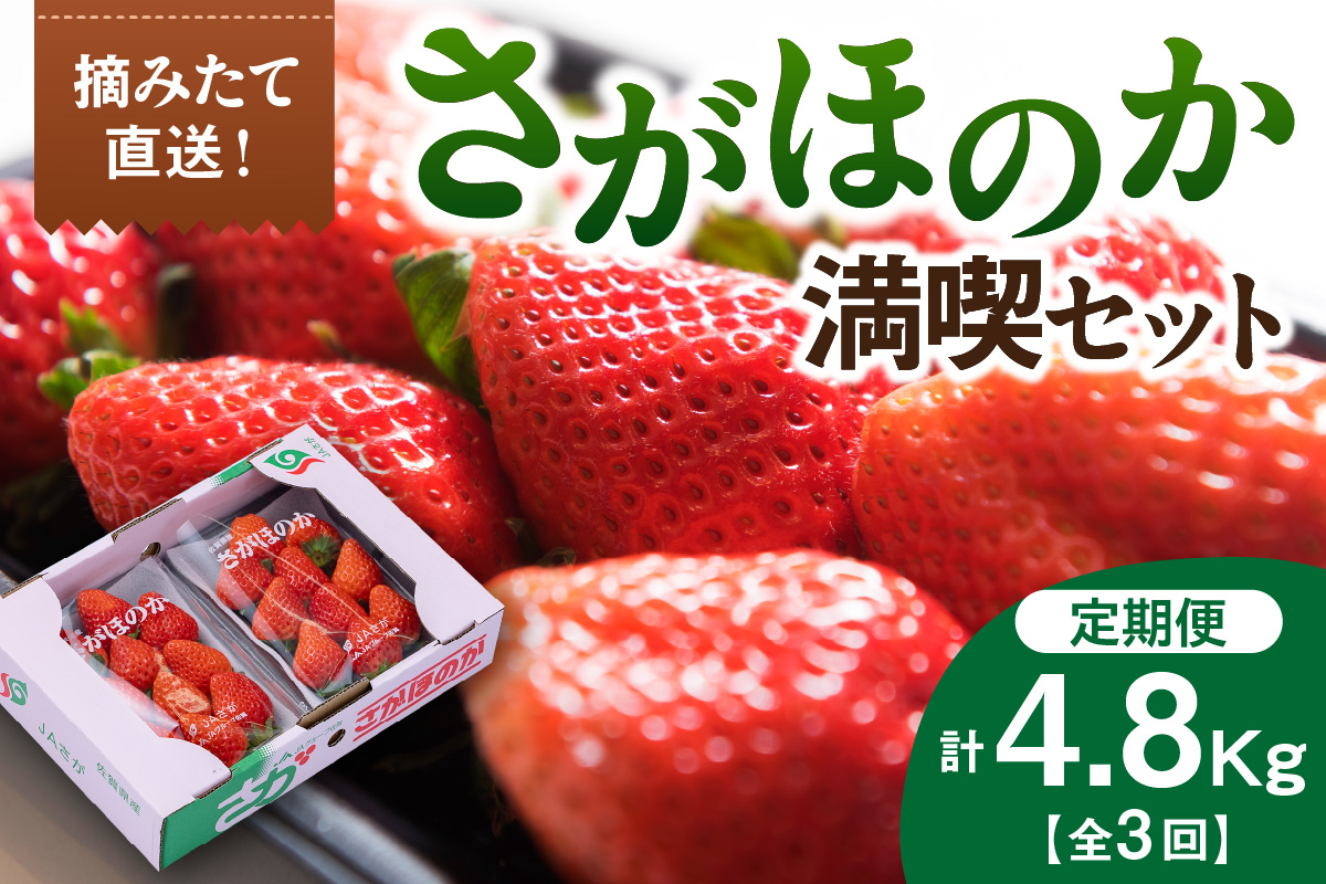 佐賀産「さがほのか」定期便 満喫セット【全3回】 999-B866