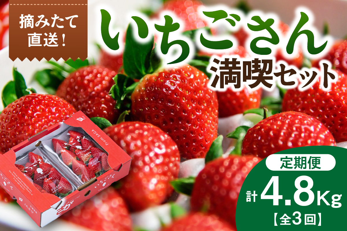 佐賀産「いちごさん」定期便 満喫セット【全3回】　999-B868