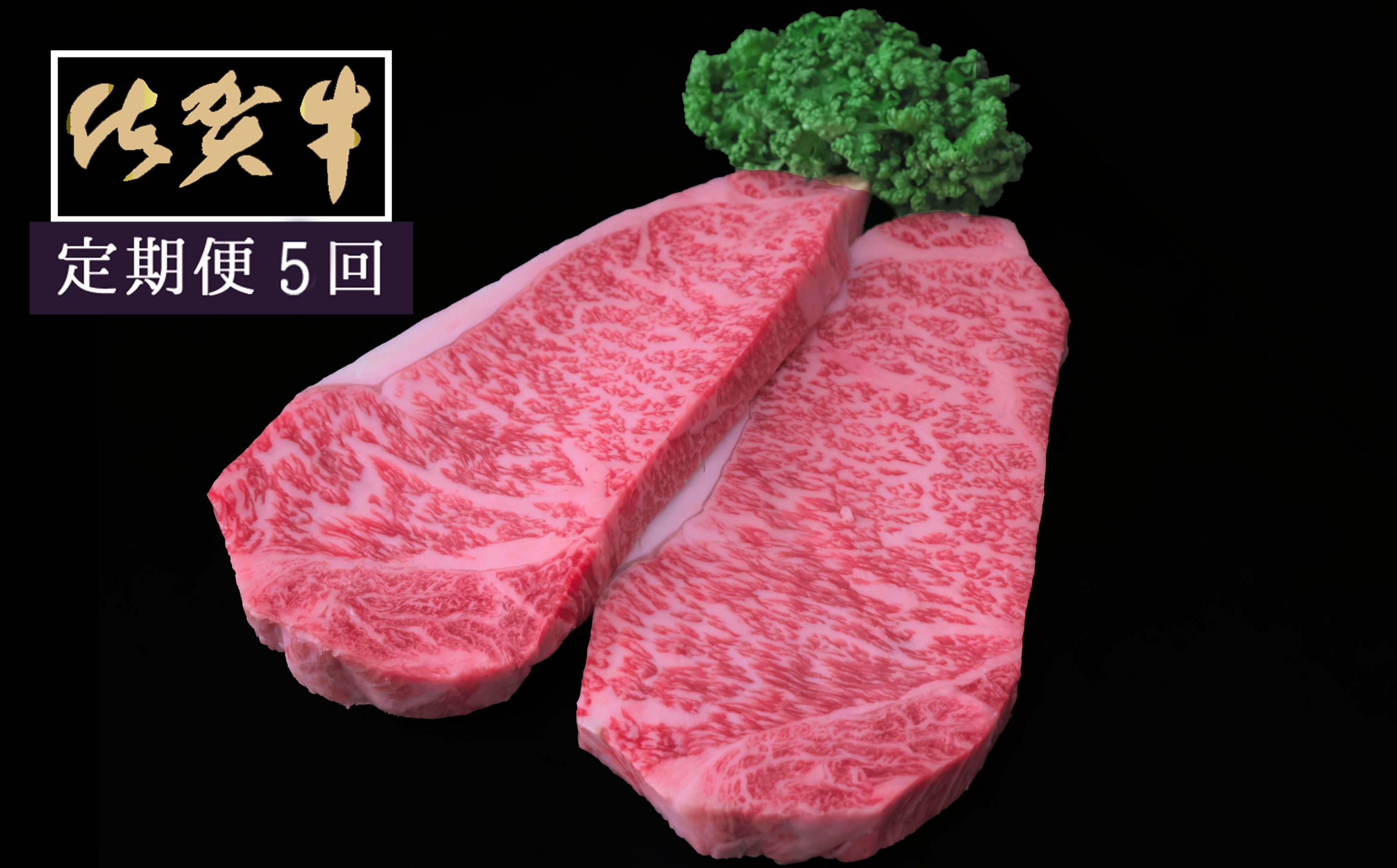 【5ヶ月定期便】佐賀牛サーロインステーキ200g×2枚 999-J1520