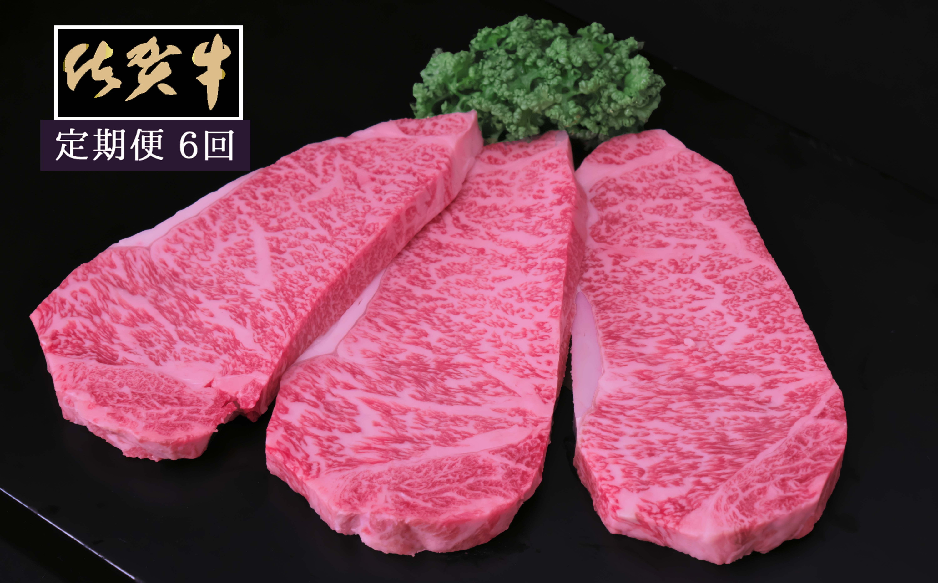 【6ヶ月定期便】佐賀牛サーロインステーキ200g×3枚 999-J1526