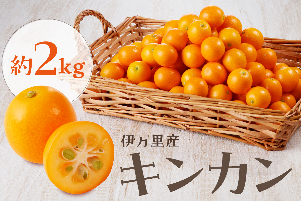 【減農薬】伊万里産キンカン（Lサイズ）2kg 柑橘類 003-B958