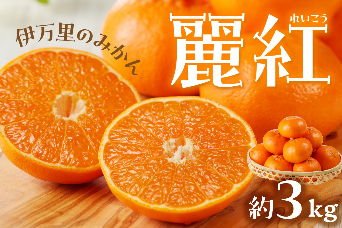 伊万里のみかん「麗紅」3kg化粧箱 003-B129