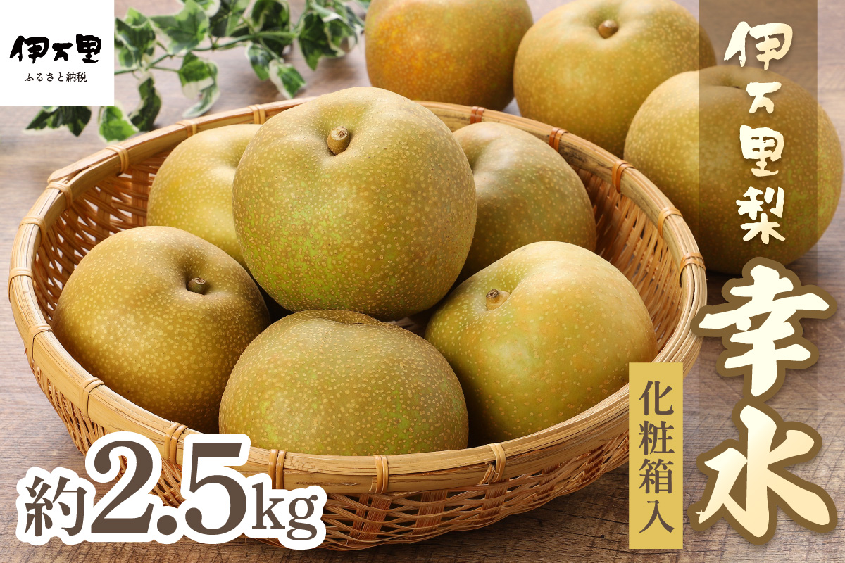 【2026年産先行予約】伊万里梨「幸水」化粧箱入 約2.5kg 178-B159