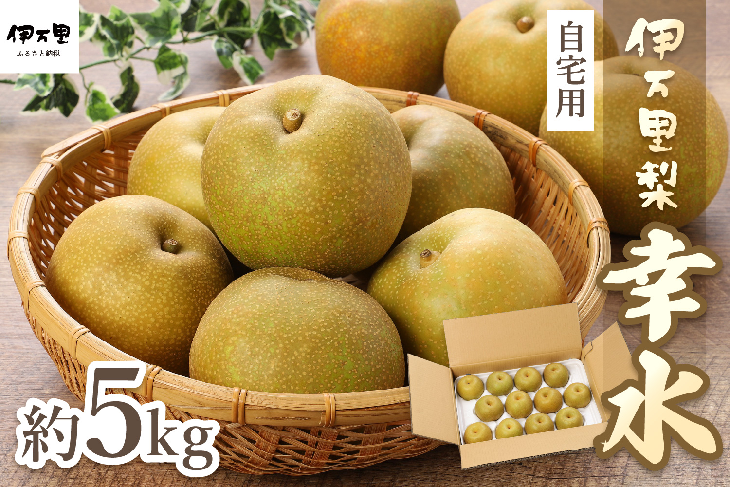 【2026年産先行予約】伊万里梨 「幸水」 約5kg ご自宅用におすすめ 178-B938