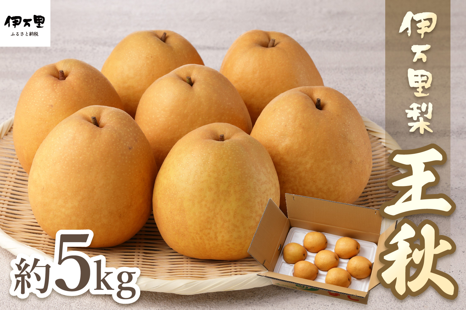 【2026年産先行予約】伊万里梨「王秋」 約5kg 178-B943
