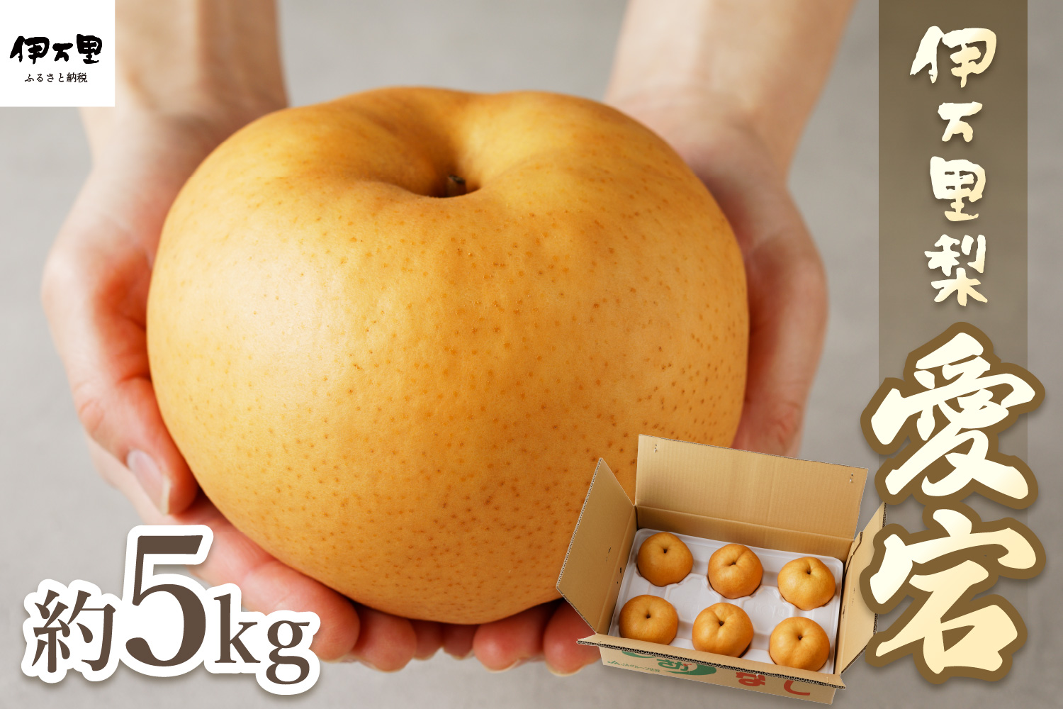 【2026年産先行予約】伊万里梨 「愛宕」 約5kg 大型種 178-B944