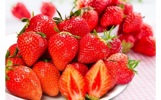 伊万里のいちご「いちごさん」約240g×6パック 003-B969