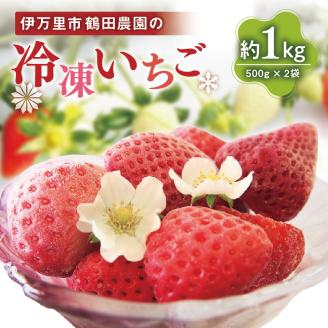 【数量限定】伊万里産急速冷凍いちご1kg ～鶴田農園～ 046-B383