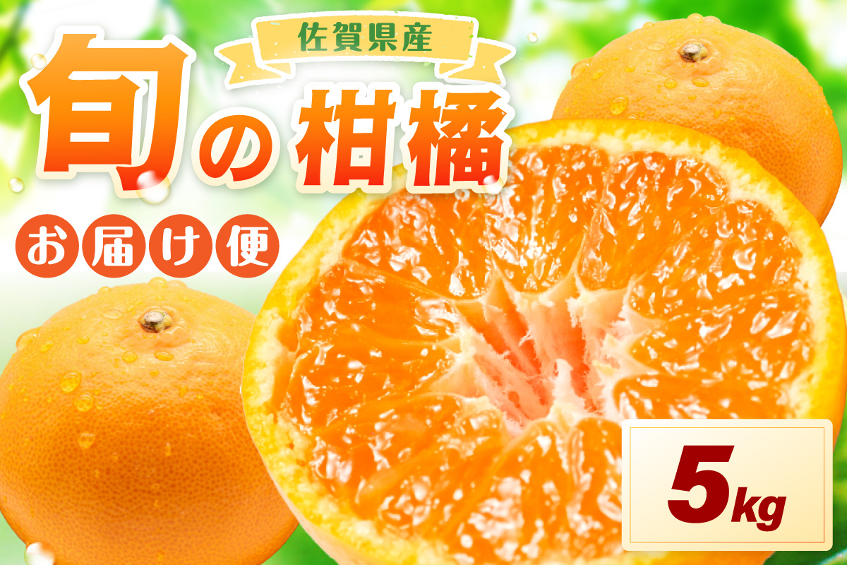 佐賀の旬の柑橘をお届け 佐賀産かんきつ5kg 147-B397