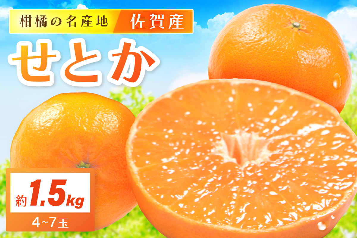 佐賀産 柑橘類 せとか 約1.5kg （4〜7玉） 147-B405