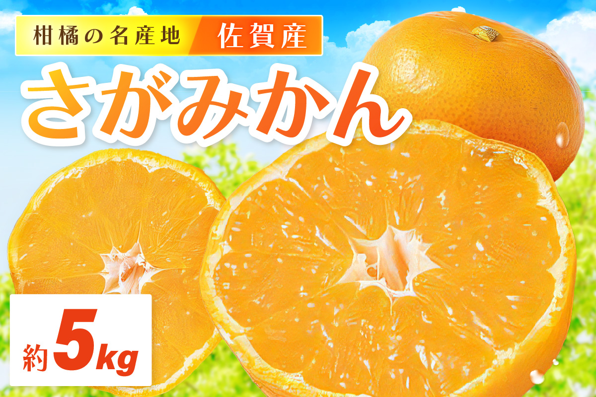 佐賀産さがみかん 約5kg箱 (伊万里市) 柑橘類 147-B800