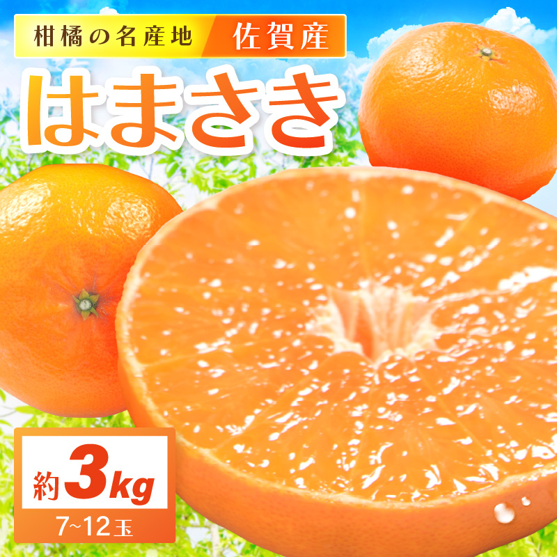 佐賀産 柑橘 「はまさき」 約3kg 箱 (7-12玉) 147-B805