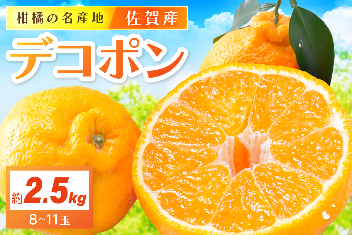 佐賀産 デコポン 約2.5kg (8-11玉) (伊万里市) 柑橘類 147-B804