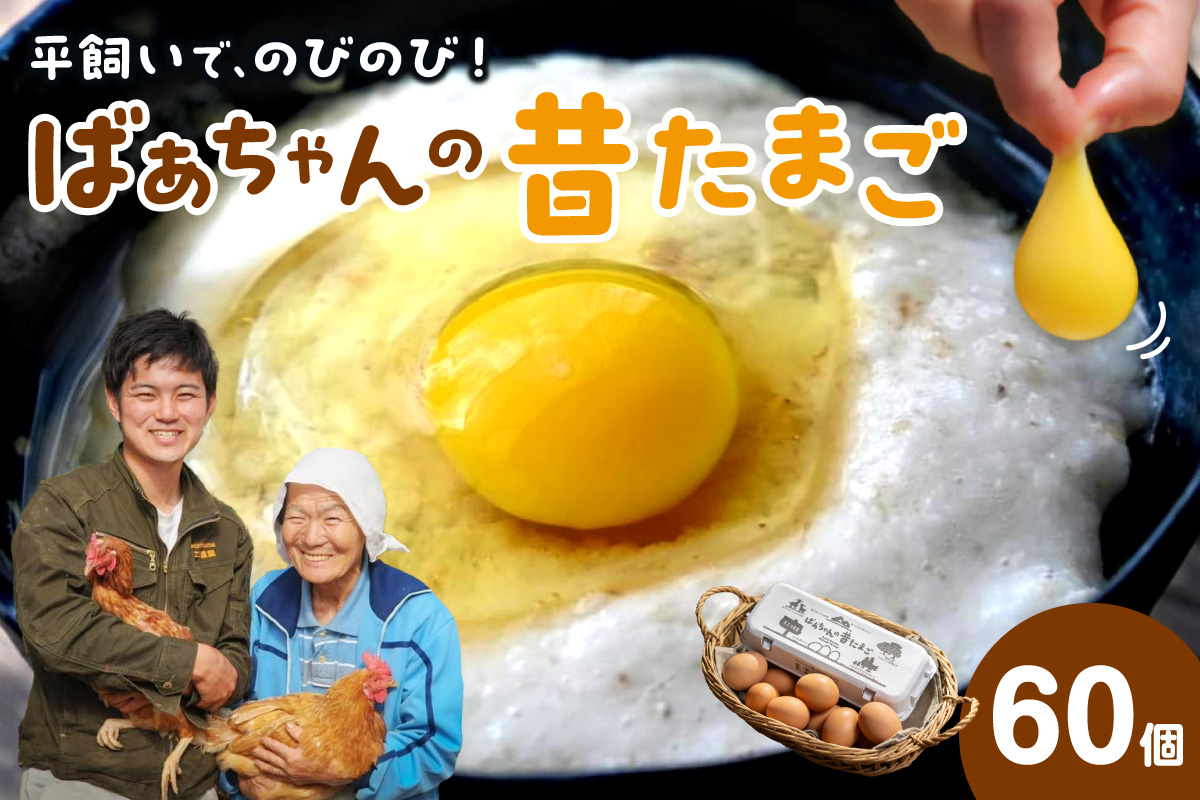 平飼いで のびのび養鶏！ばあちゃんの昔たまご（計60個）平飼い卵 割れ保証あり 129-B613
