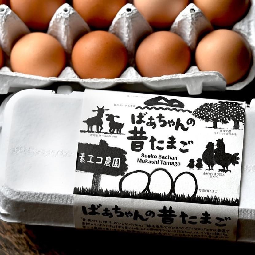 平飼いで のびのび養鶏！ばあちゃんの昔たまご（計60個）平飼い卵 割れ保証あり 129-B613