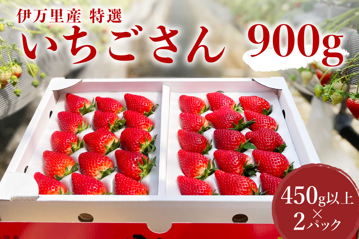 【先行予約】伊万里産 特選「いちごさん」 450g 以上× 2パック ～鶴田農園～ 046-B833