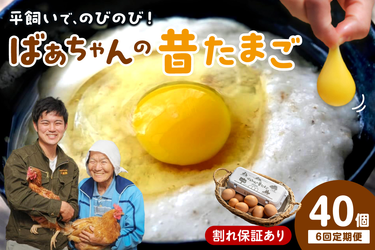 【6回定期便】平飼いで のびのび！ばあちゃんの昔たまご 40個/月 割れ保証あり 999-B619