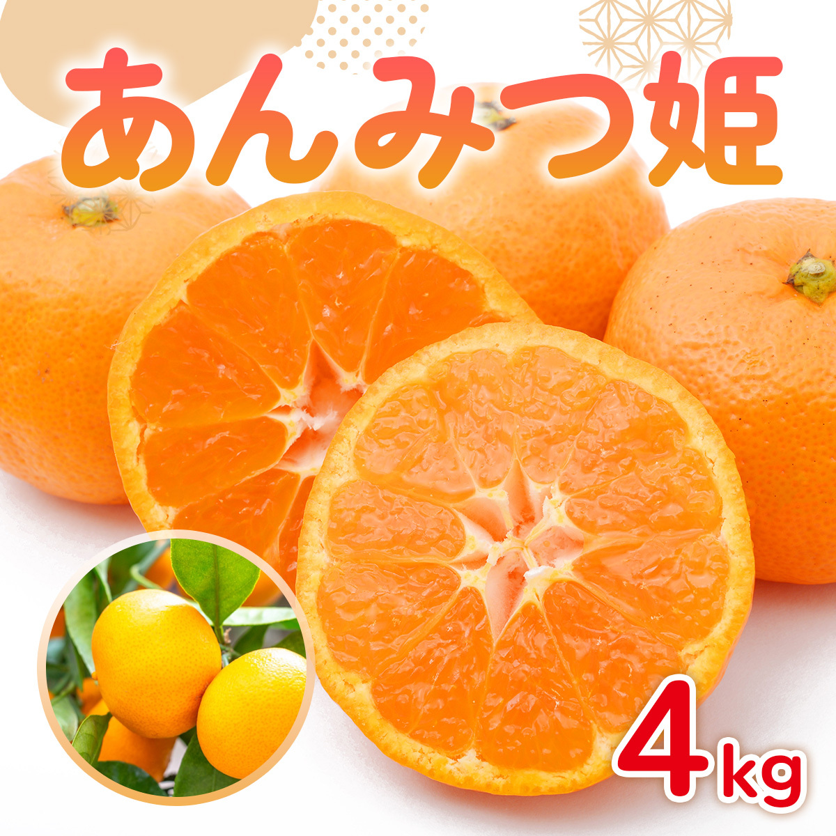 佐賀県産みかん あんみつ姫 4kg 114-B1015
