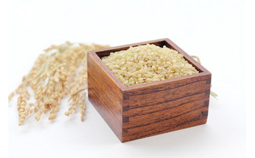 佐賀県産ゆめしずく（特A） 玄米5kg×3回定期便 999-B827