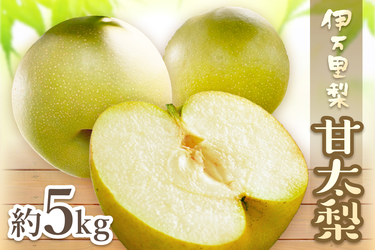 【2026年産先行予約】伊万里梨 「甘太」 約5kg ご自宅用におすすめ 178-B941