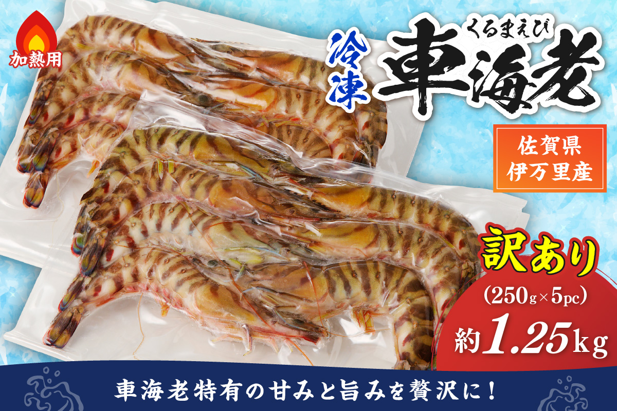 伊万里産 冷凍車海老（訳あり、加熱用、250gx5pc） 010-C197