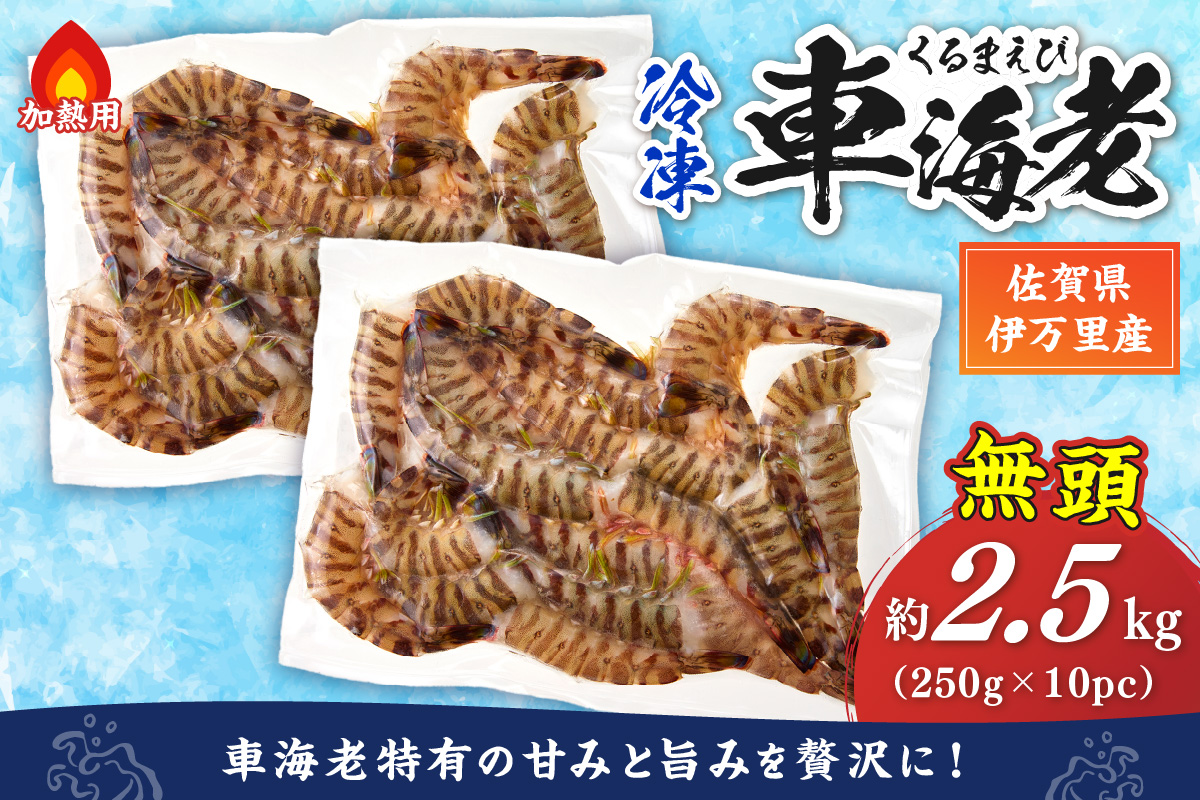 伊万里産 無頭 冷凍車海老（加熱用） 2.5kg 010-C199