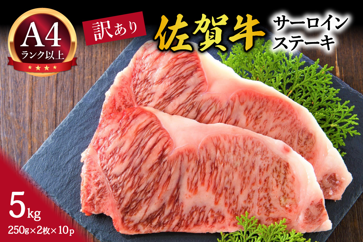 【 佐賀牛 】 訳あり！ サーロイン ステーキ 5kg（250g2枚入り×10p） 159-J1022