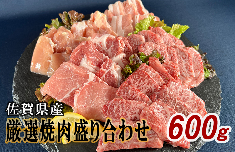 佐賀県産厳選5種焼肉盛り合わせ 600g（2～3人前） 180-J1633