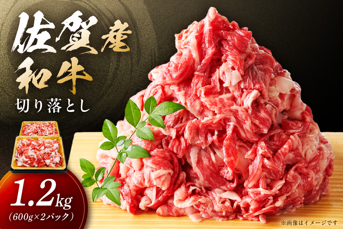 佐賀産和牛 訳あり 切り落とし 1.2kg(600g×2p) 159-J1699