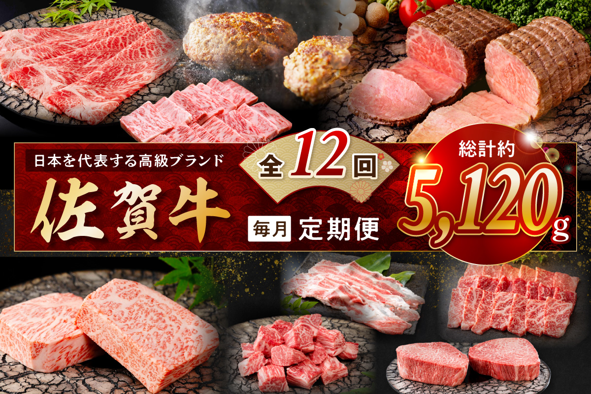 【発送月固定 定期便】肉の定期便！ 佐賀牛 毎月月替わりでお届け 全12回 999-J1171