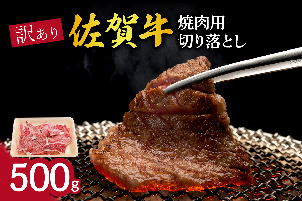 訳あり 佐賀牛 焼肉用切り落とし500g 100-J1206