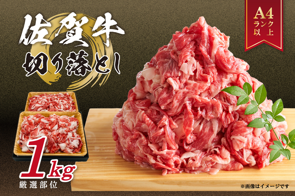 佐賀牛 訳あり 切り落とし 1kg (500g×2p) 159-J1695