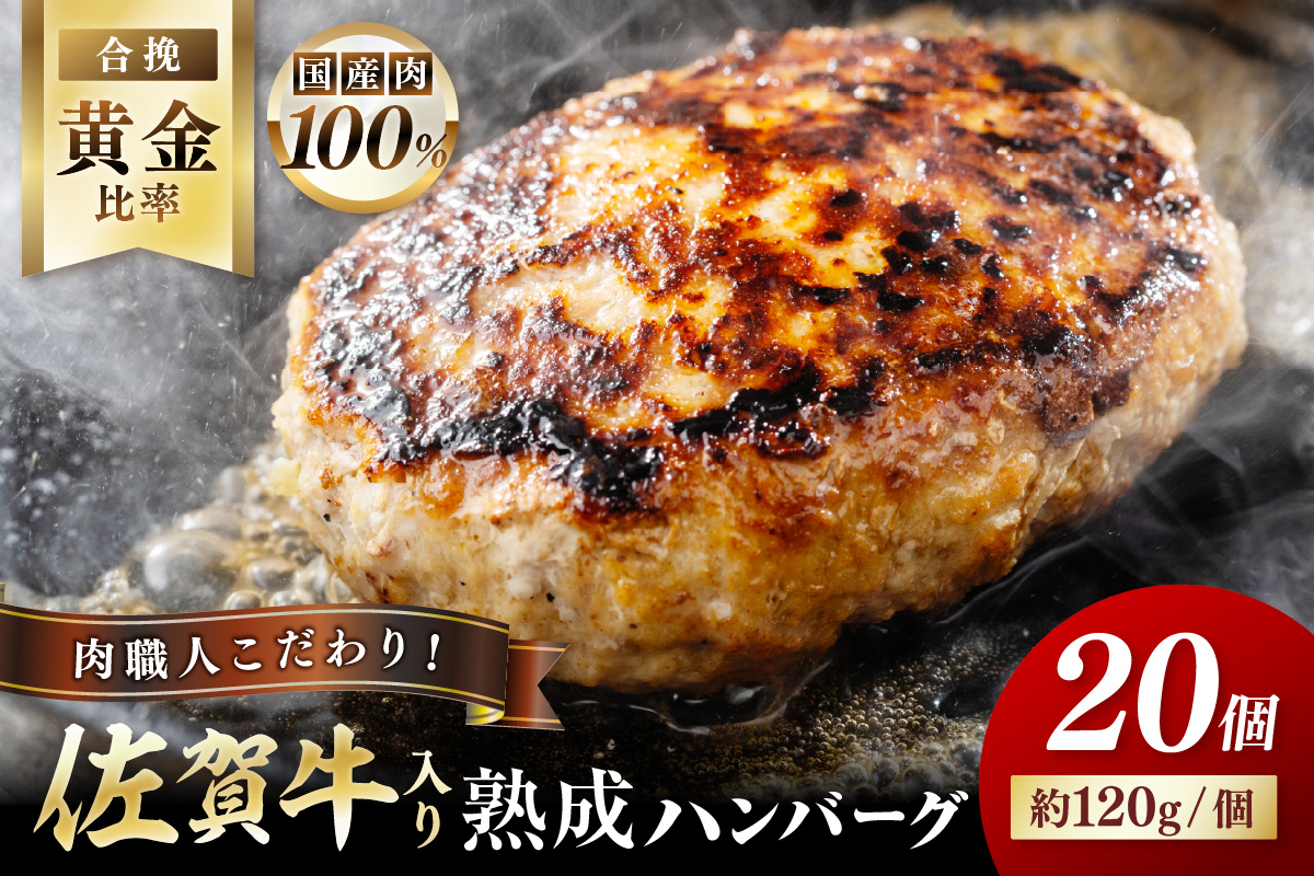 佐賀牛入り 熟成 ハンバーグ 約120g×20個 179-J1885