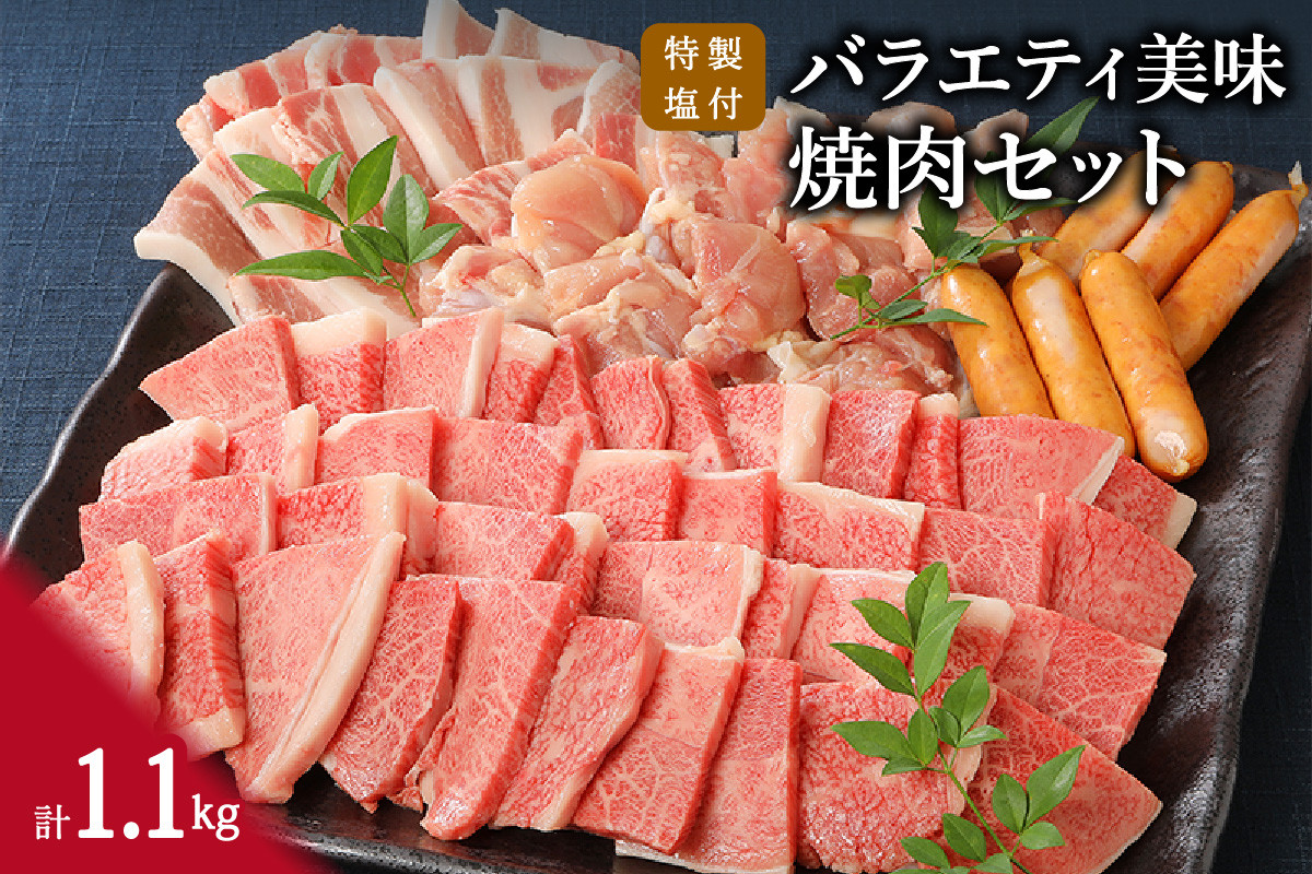 バラエティ美味 焼肉セット 牛肉 豚肉 鶏肉 1.1kg 006-J1852