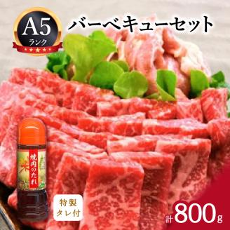 バーベキューセット 伊万里牛 モモ 鶏肉 約800g 002-J340